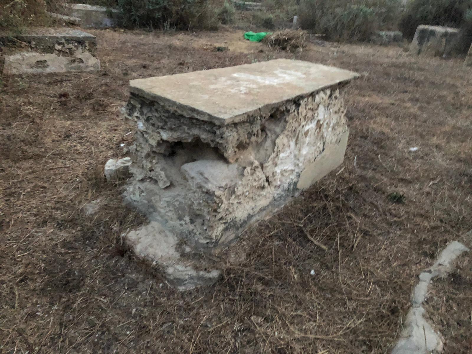 WhatsApp Image 2020-12-03 at 5.57.08 AM.jpeg.jpeg